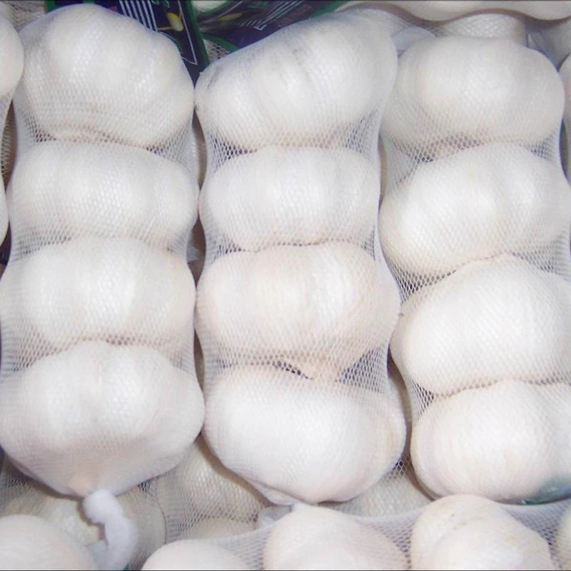 Petit paquet d'ail blanc pur frais