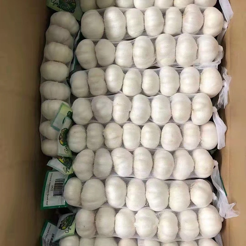 organic snow white garlic